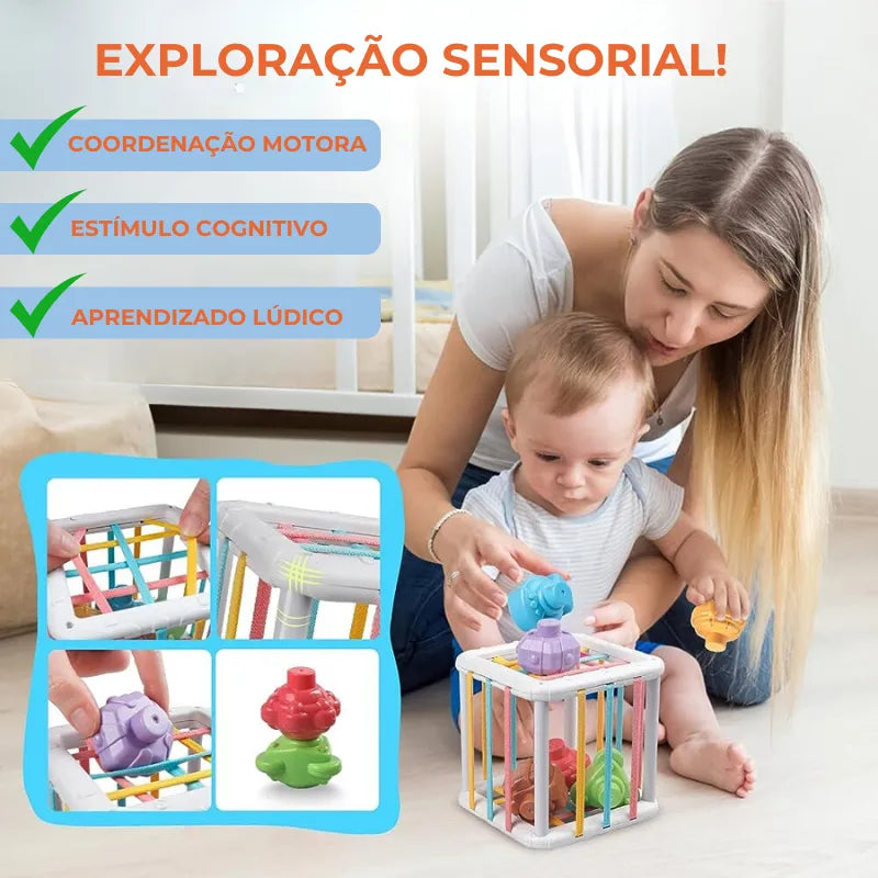 Mundo das Formas e Cores - Jogo de Encaixe Montessori